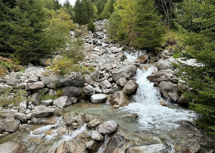 Appartement Tscheppa B By Interhome Sedrun