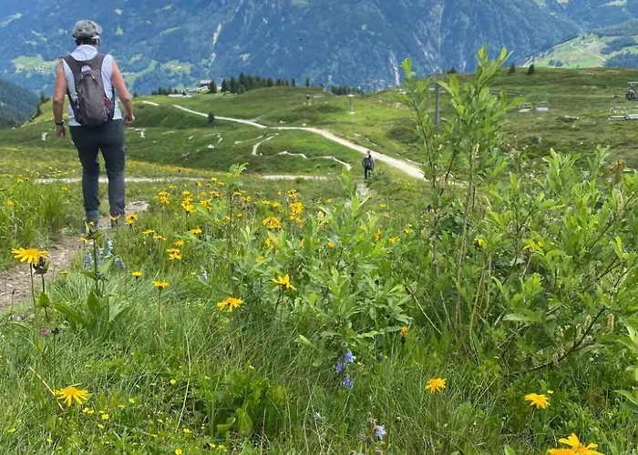 Appartement Tscheppa B By Interhome *