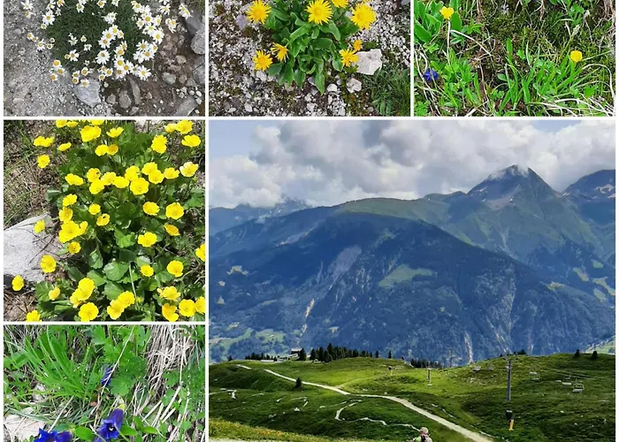 Tscheppa B By Interhome Appartement Sedrun