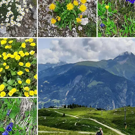 Tscheppa B By Interhome Daire Sedrun