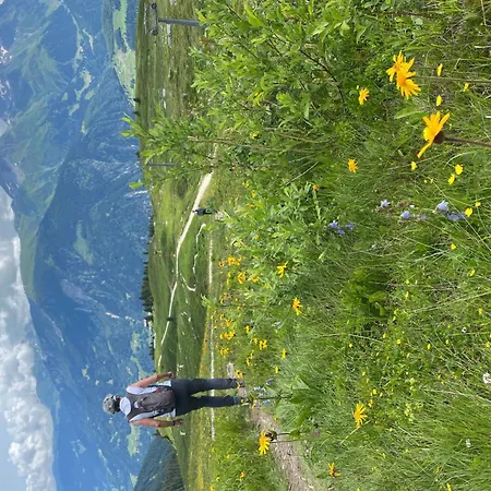 Tscheppa B By Interhome * Sedrun