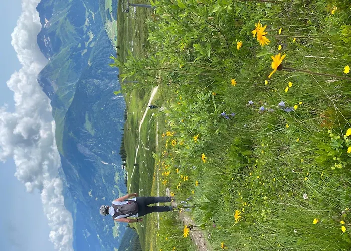 Tscheppa B By Interhome * Sedrun